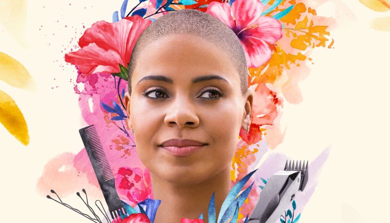nappily every after - sanaa lathan